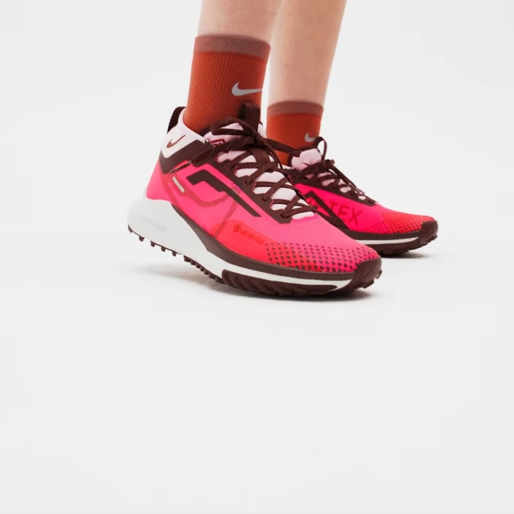 Nike  Pegasus trail 4 Gore-tex